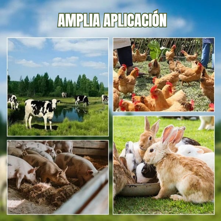 Juego De Cuchillas Para Trituradora De Césped Agrícola Doméstica – Mayor Eficiencia De Corte Para Césped Y Verduras