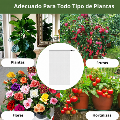 Sacos De Malla Transpirables Y Reutilizables Para Proteger Frutas Y Verduras – Protege Contra Insectos, Moscas De La Fruta Y Pájaros