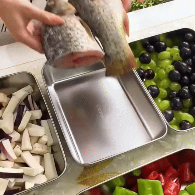 Contenedores de acero inoxidable SUS304 | Alimentos frescos por más tiempo (25x20x5cm)