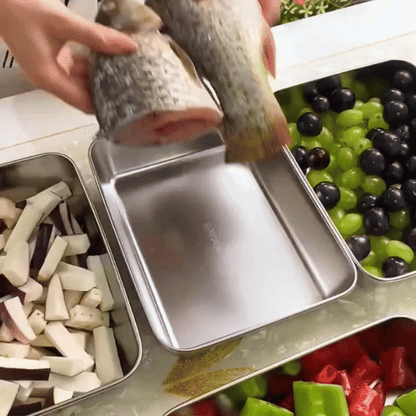 Contenedores de acero inoxidable SUS304 | Alimentos frescos por más tiempo (25x20x5cm)