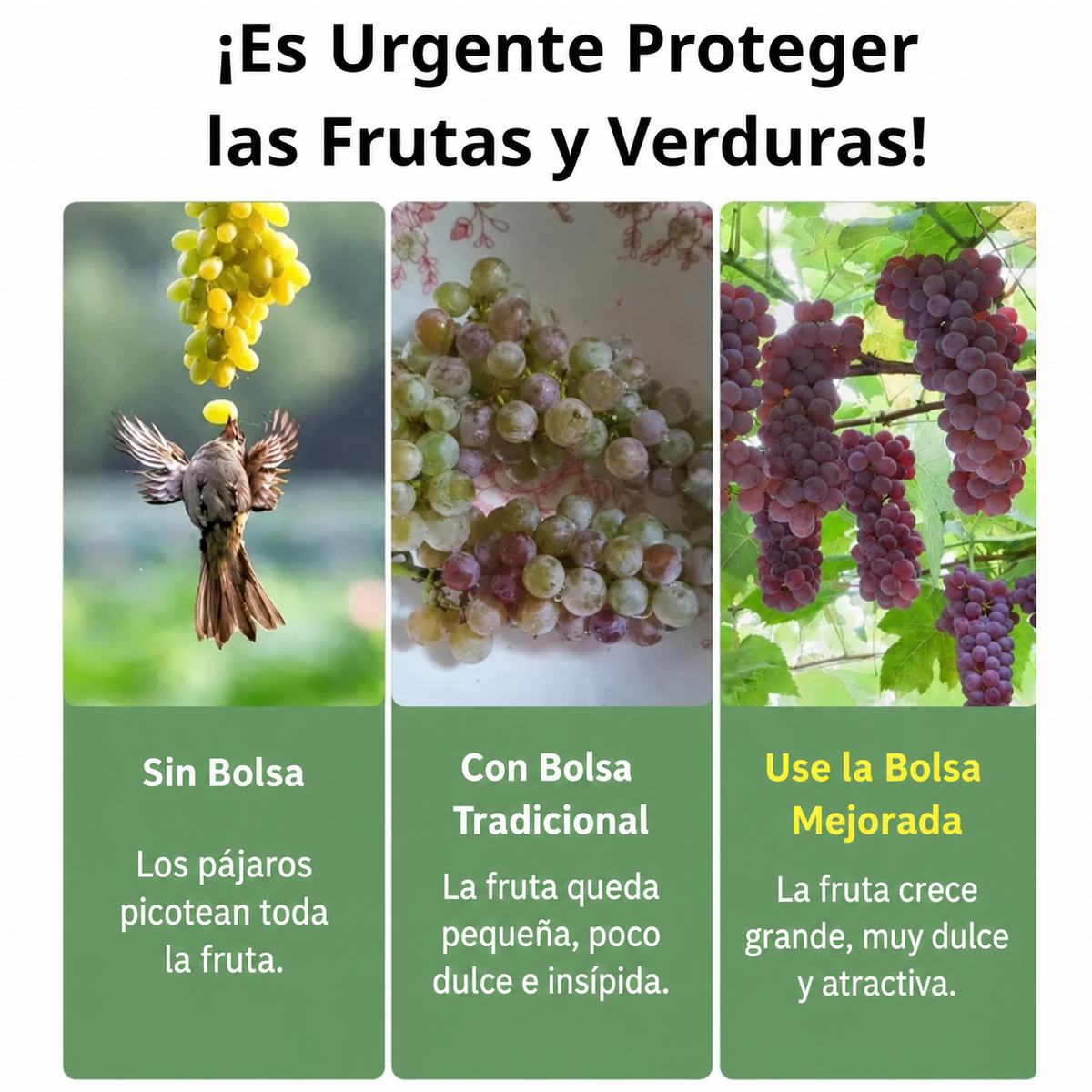 Sacos De Malla Transpirables Y Reutilizables Para Proteger Frutas Y Verduras – Protege Contra Insectos, Moscas De La Fruta Y Pájaros