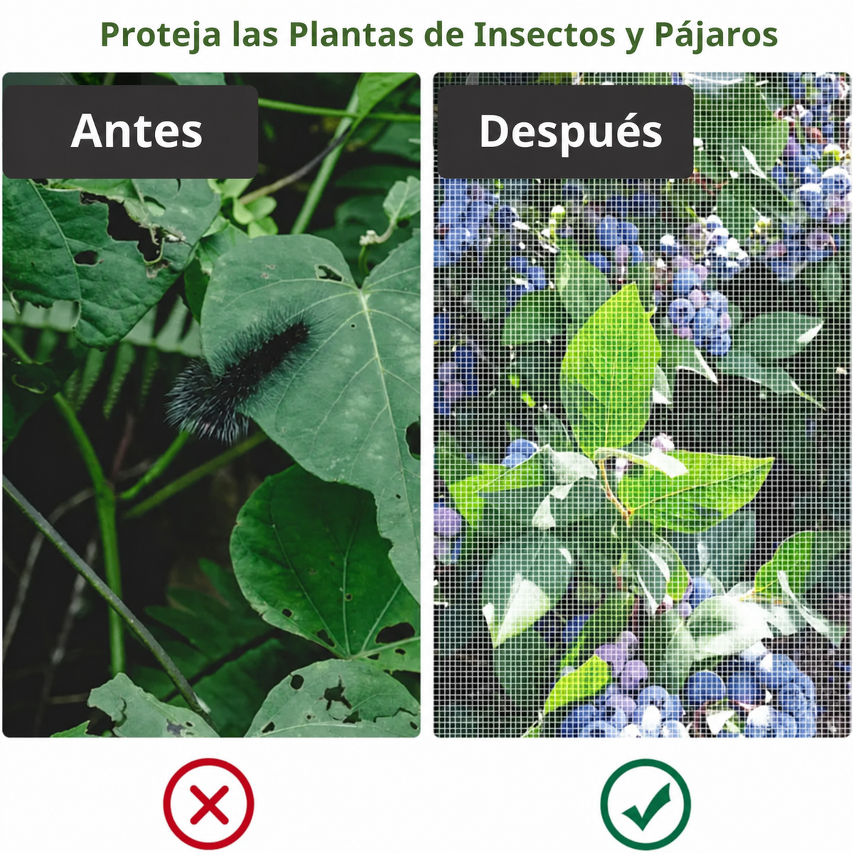 Sacos de malla transpirables y reutilizables para la protección de frutas y verduras – Protege contra insectos, moscas de la fruta y aves