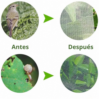 Sacos de malla transpirables y reutilizables para la protección de frutas y verduras – Protege contra insectos, moscas de la fruta y aves