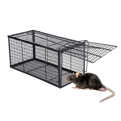 Jaula Trampa Para Ratones Reutilizable: Captura Humanitaria De Roedores, Control De Ratas Con Cierre Automático