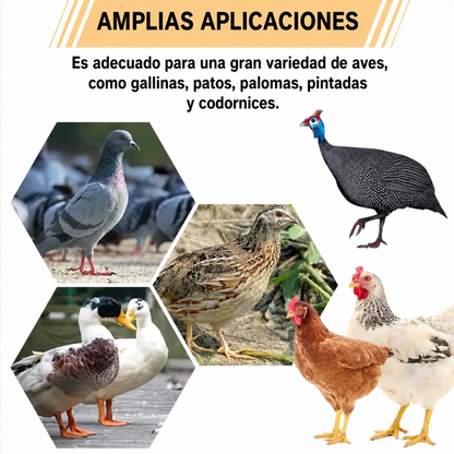 Puerta de alimentación automática para gallinas y patos, compatible con todo tipo de cubos — incluye sierra de corona