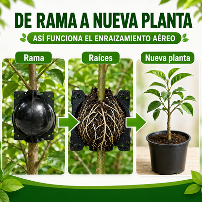 Caja de Enraizamiento para Acodo Aéreo – Pack de 10 Reutilizable para Propagación de Plantas