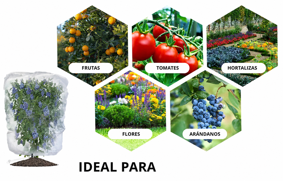 Sacos De Malla Transpirables Y Reutilizables Para Proteger Frutas Y Verduras – Protege Contra Insectos, Moscas De La Fruta Y Pájaros