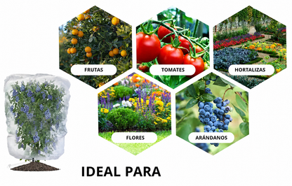 Sacos De Malla Transpirables Y Reutilizables Para Proteger Frutas Y Verduras – Protege Contra Insectos, Moscas De La Fruta Y Pájaros
