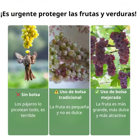 Sacos de malla transpirables y reutilizables para la protección de frutas y verduras – Protege contra insectos, moscas de la fruta y aves
