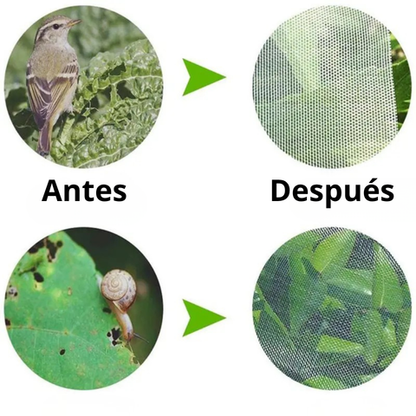Sacos de malla transpirables y reutilizables para la protección de frutas y verduras – Protege contra insectos, moscas de la fruta y aves