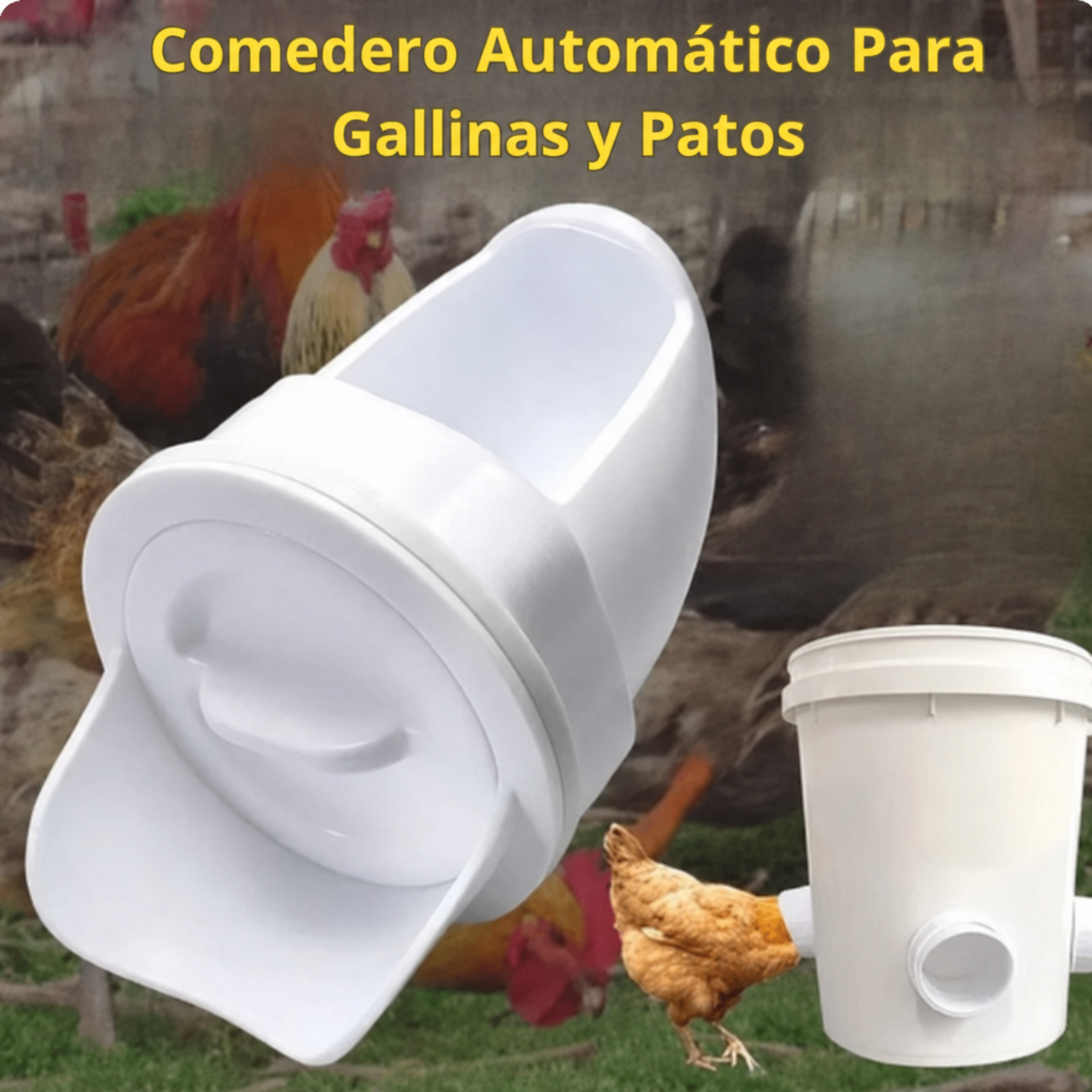 Puerta de alimentación automática para gallinas y patos, compatible con todo tipo de cubos — incluye sierra de corona