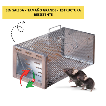 BestSeller™ - Jaula trampa humanitaria para ratones y ardillas vivas