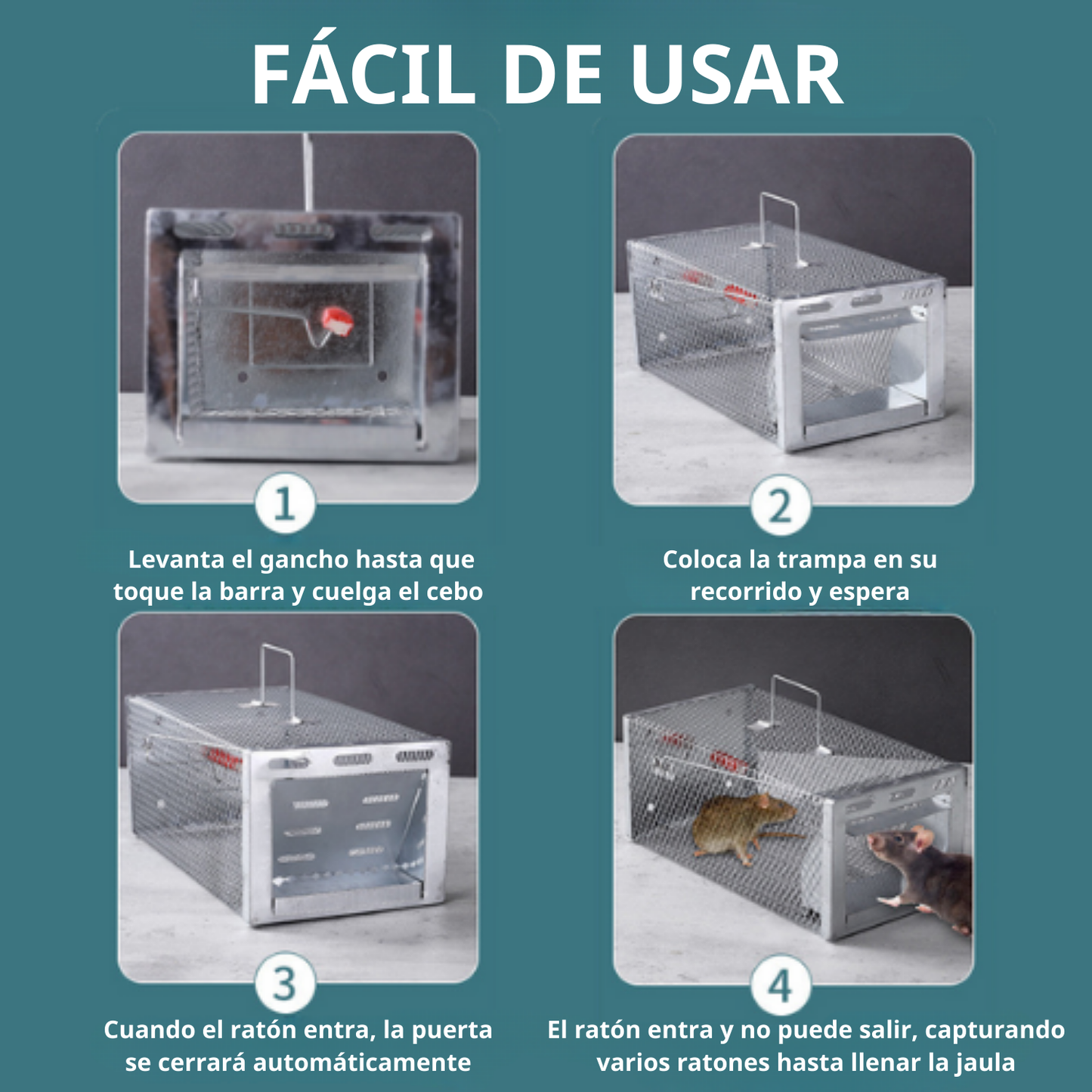 BestSeller™ - Jaula trampa humanitaria para ratones y ardillas vivas