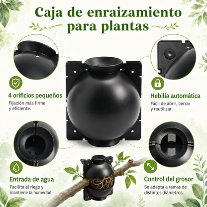 Caja de Enraizamiento para Acodo Aéreo – Pack de 10 Reutilizable para Propagación de Plantas