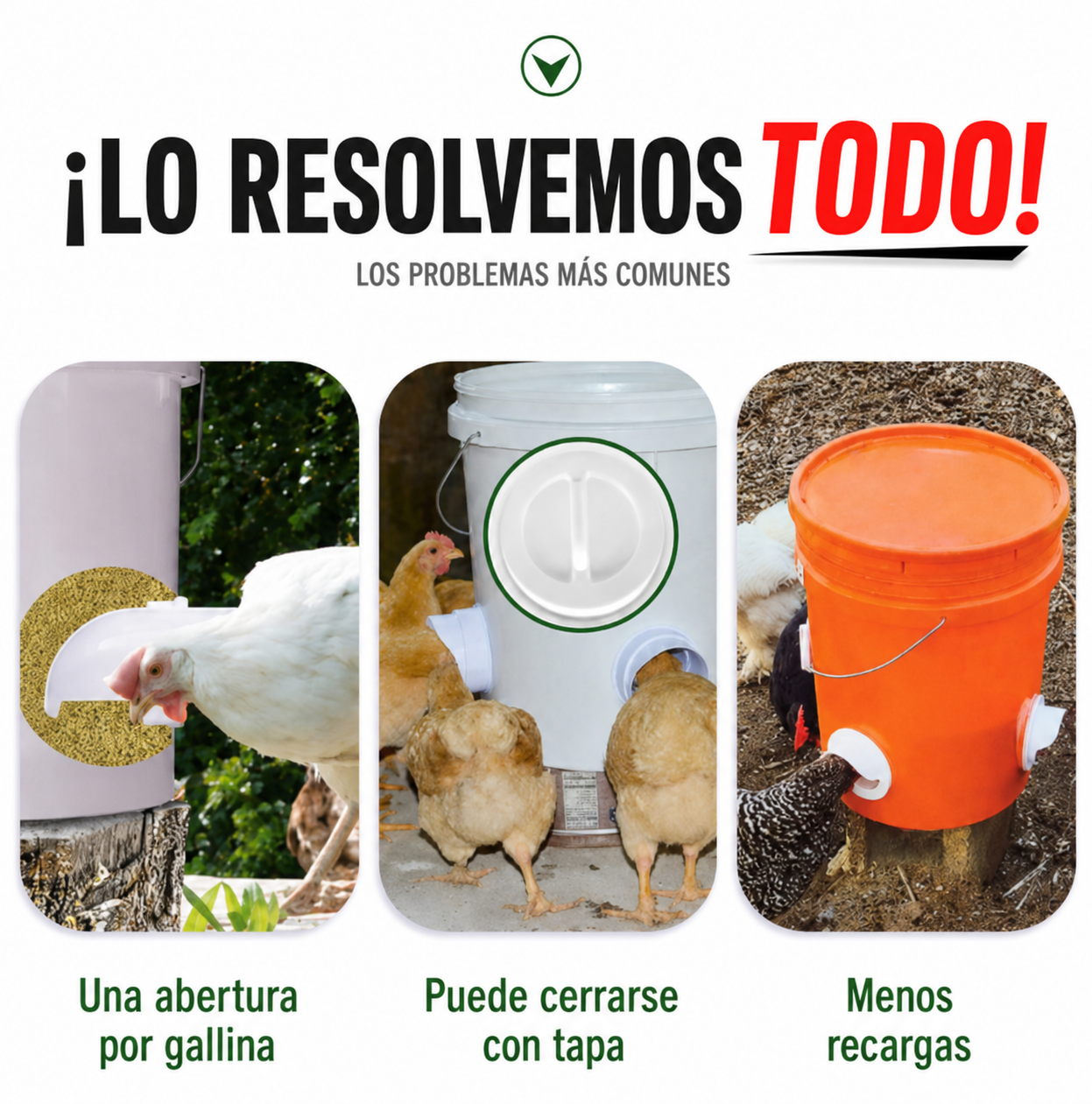 Puerta de alimentación automática para gallinas y patos, compatible con todo tipo de cubos — incluye sierra de corona