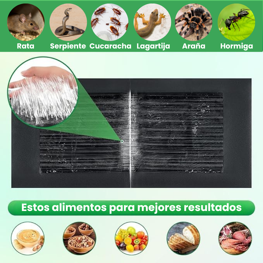 🇪🇸 Trampas Adhesivas ProfesionaIes – Extra Grandes para Atrapar Mas Rápido