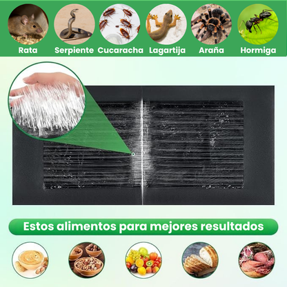 🇪🇸 Trampas Adhesivas ProfesionaIes – Extra Grandes para Atrapar Mas Rápido