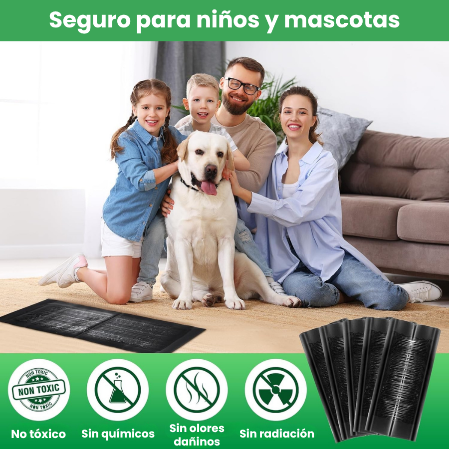 🇪🇸 Trampas Adhesivas ProfesionaIes – Extra Grandes para Atrapar Mas Rápido