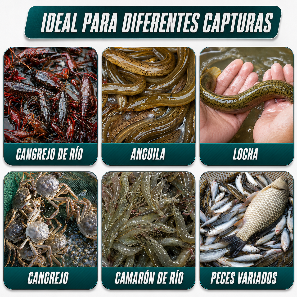 Atrape Peces Sin Esfuerzo - ¡La Jaula De Red De Pesca Definitiva!