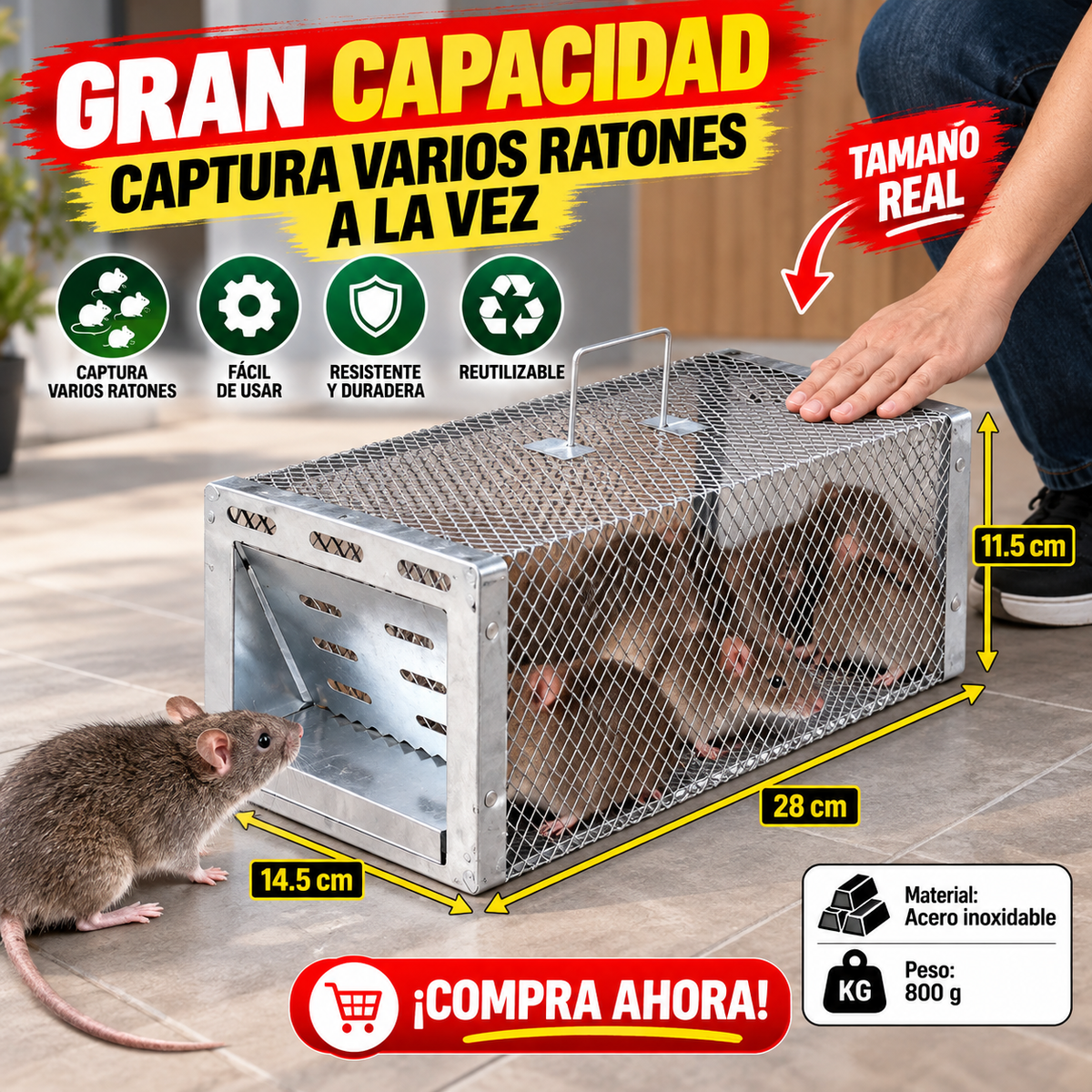 BestSeller™ - Trampa humanitaria de jaula para capturar ratas, ratones y ardillas vivos