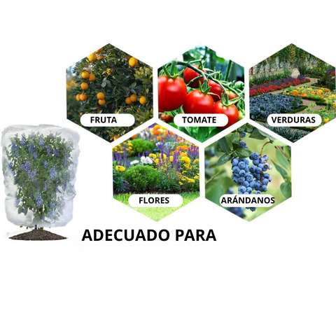 Sacos de malla transpirables y reutilizables para la protección de frutas y verduras – Protege contra insectos, moscas de la fruta y aves