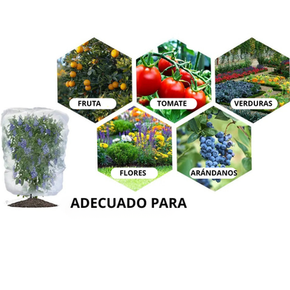 Sacos de malla transpirables y reutilizables para la protección de frutas y verduras – Protege contra insectos, moscas de la fruta y aves