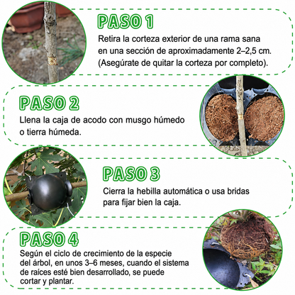 Caja de Enraizamiento para Acodo Aéreo – Pack de 10 Reutilizable para Propagación de Plantas