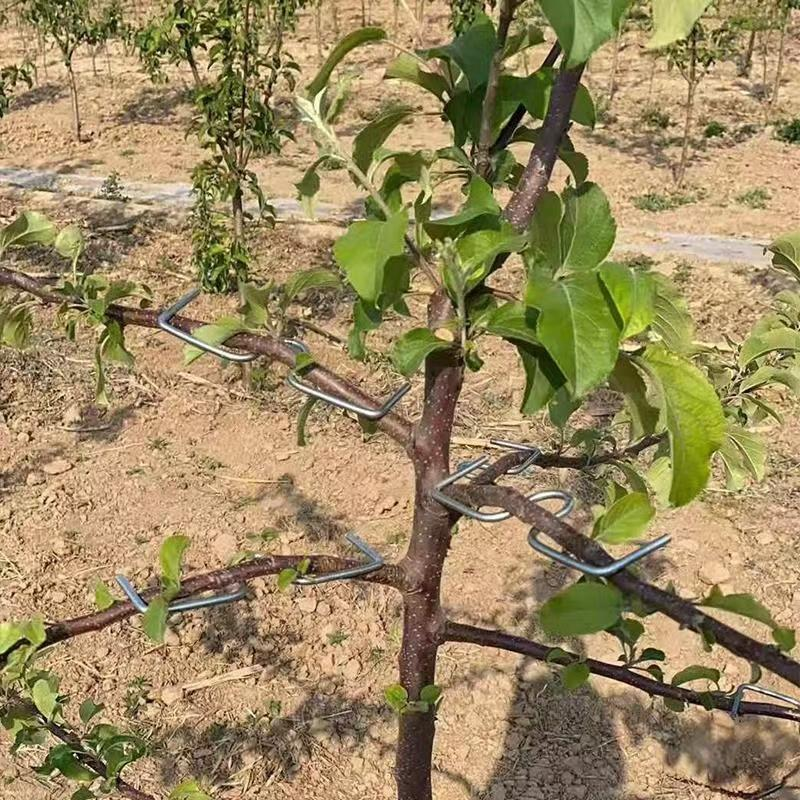 Kit de 50 piezas para doblar ramas al estilo Japonés – más flores y frutos más bonitos.