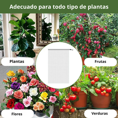 Sacos de malla transpirables y reutilizables para la protección de frutas y verduras – Protege contra insectos, moscas de la fruta y aves