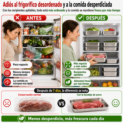 Cajas Para La Conservación De Alimentos, Bandeja Rectangular (25x20x5 cm)