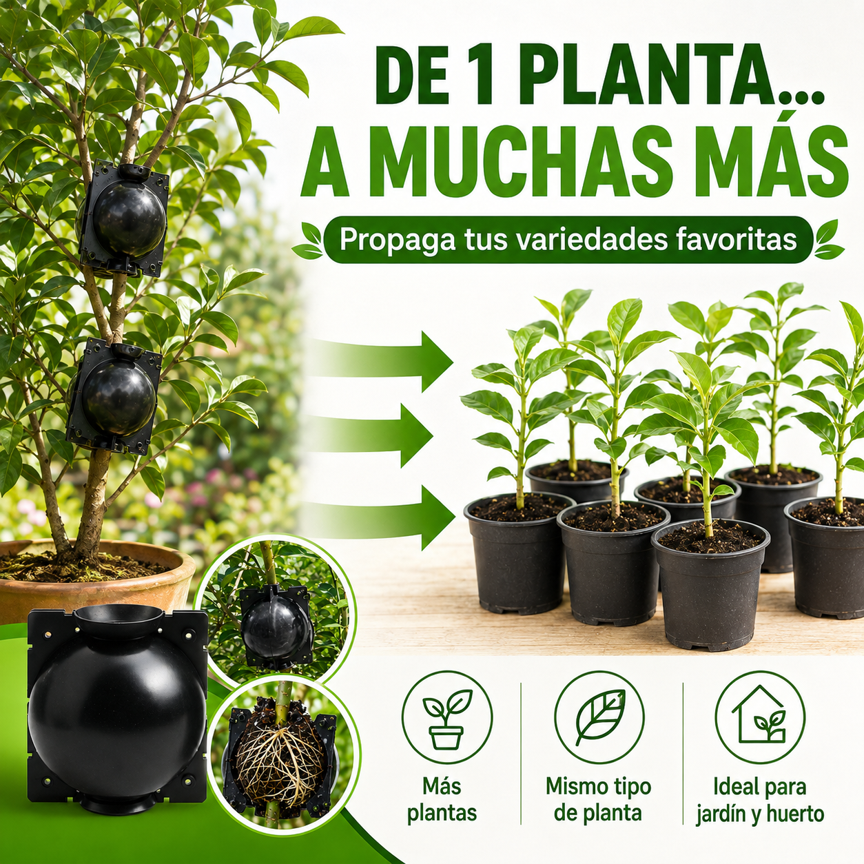 Caja de Enraizamiento para Acodo Aéreo – Pack de 10 Reutilizable para Propagación de Plantas