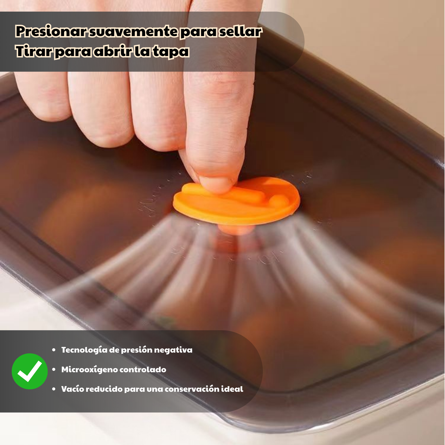 Recipiente Hermético De Acero Inoxidable 316 Antibacteriano (19x14x6cm)