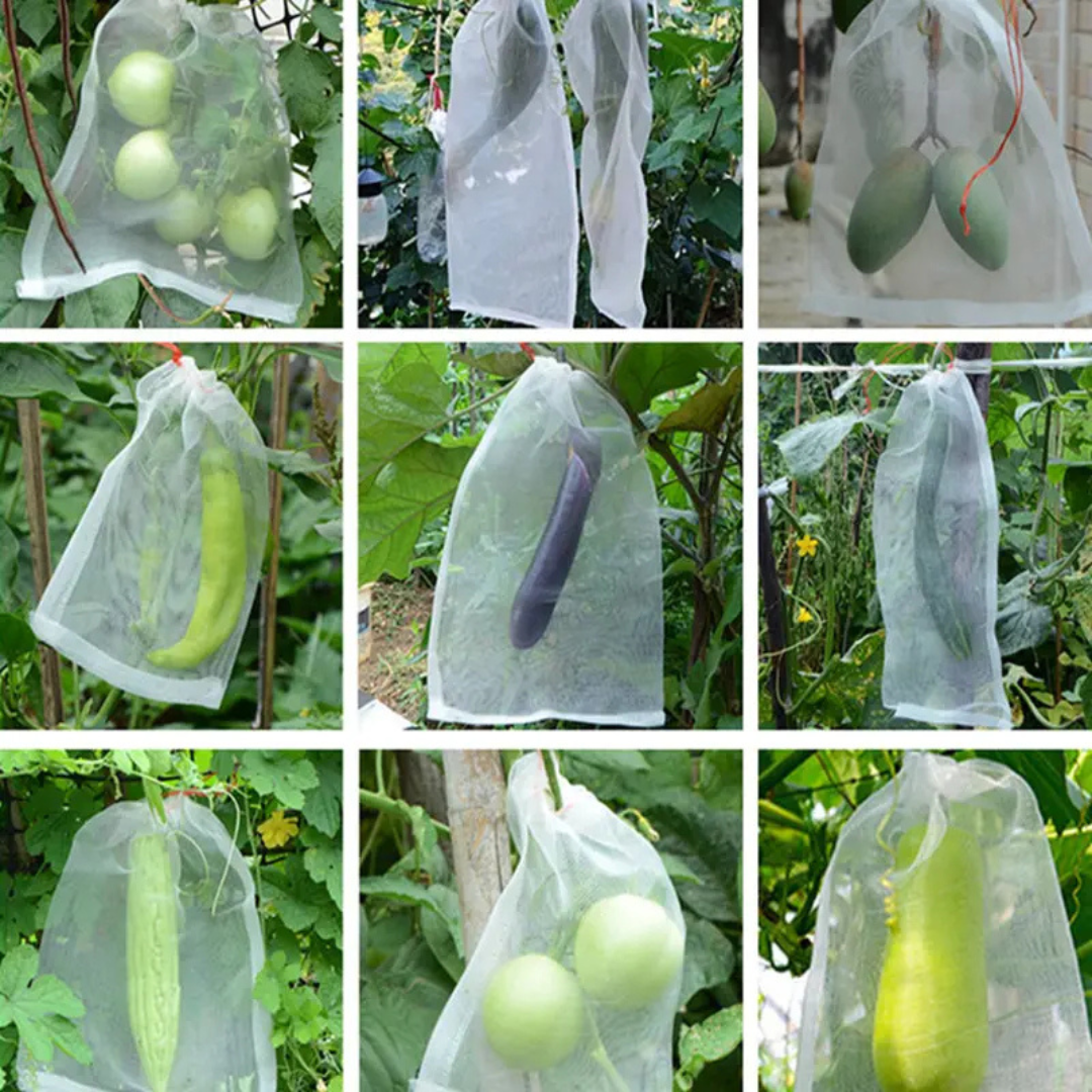 Sacos De Malha Respiráveis Reutilizáveis Para Proteção De Frutas E Vegetais – Proteja Contra Insetos, Moscas-Das-Frutas E Pássaros