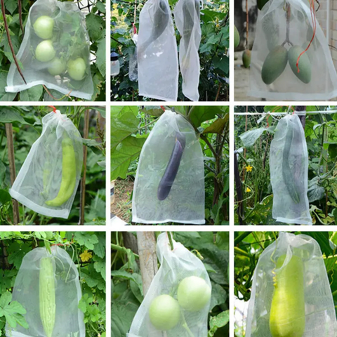 Sacos de malla transpirables y reutilizables para la protección de frutas y verduras – Protege contra insectos, moscas de la fruta y aves