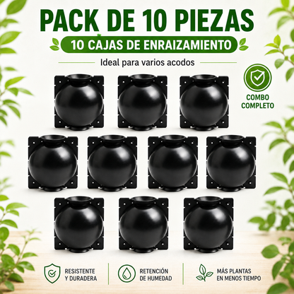 Caja de Enraizamiento para Acodo Aéreo – Pack de 10 Reutilizable para Propagación de Plantas