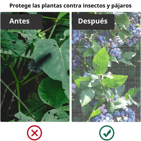 Sacos de malla transpirables y reutilizables para la protección de frutas y verduras – Protege contra insectos, moscas de la fruta y aves