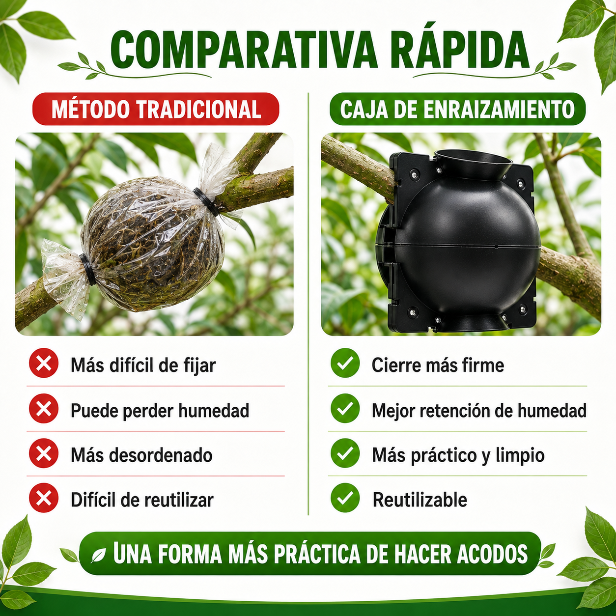 Caja de Enraizamiento para Acodo Aéreo – Pack de 10 Reutilizable para Propagación de Plantas