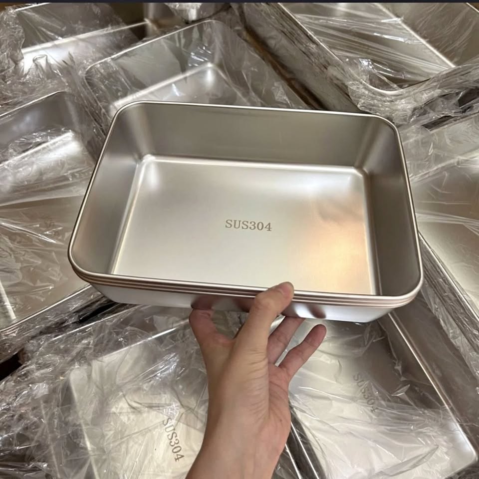 Cajas Para La Conservación De Alimentos, Bandeja Rectangular (25x20x5 cm)