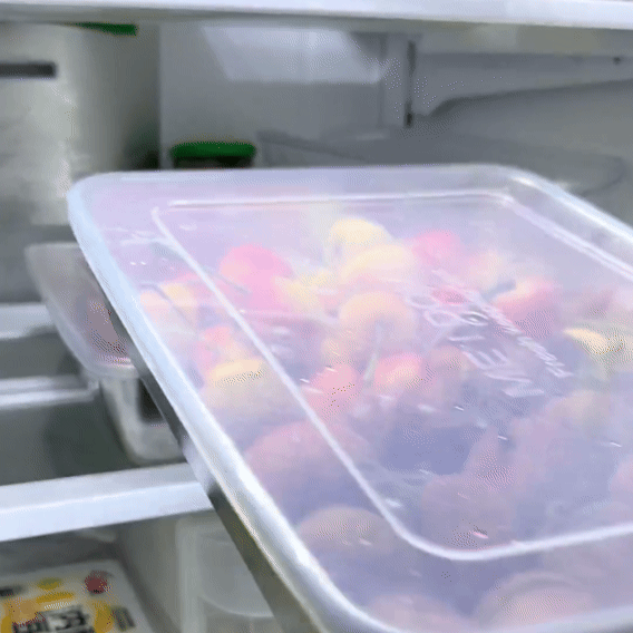 Contenedores de acero inoxidable SUS304 | Alimentos frescos por más tiempo (25x20x5cm)