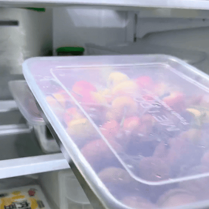 Contenedores de acero inoxidable SUS304 | Alimentos frescos por más tiempo (25x20x5cm)