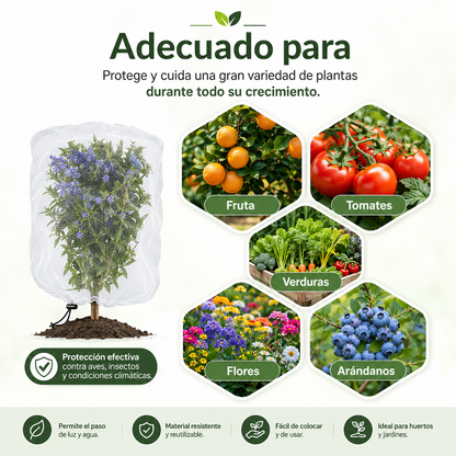 Bolsas de malla transpirables y reutilizables para proteger frutas y verduras – Protección contra insectos, moscas de la fruta y pájaros