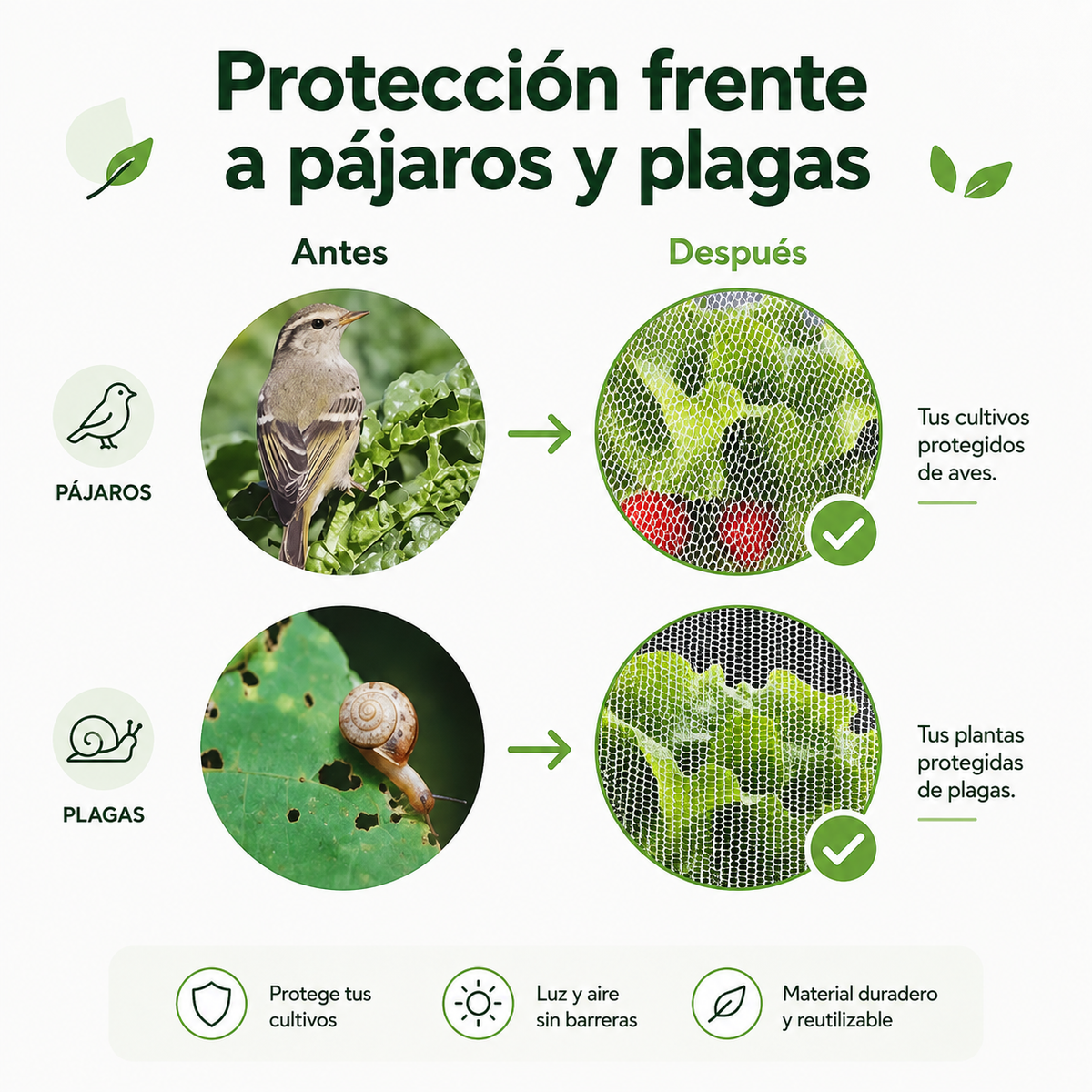 Bolsas de malla transpirables y reutilizables para proteger frutas y verduras – Protección contra insectos, moscas de la fruta y pájaros